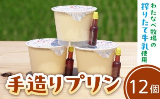 原料と製法にこだわった【手造りプリン12個セット】