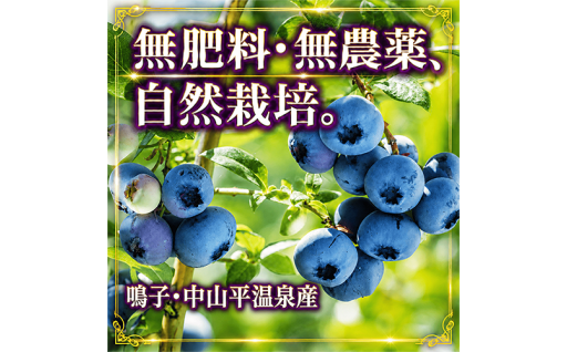 鳴子・中山平温泉から届く、幻の無肥料・無農薬ブルーベリー