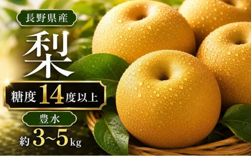 【2026年先行予約】梨 豊水 糖度14度以上