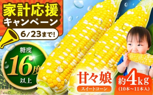 糖度16度超え！極甘スイートコーン「甘々娘」