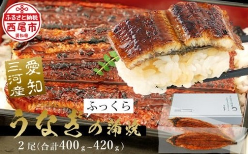 ✨土用の丑配送対応✨【期間限定】三河産うなぎ 蒲焼 《超特大》×2尾