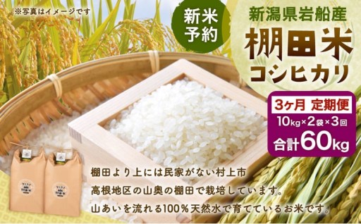 【新米受付・令和8年産米】【定期便：3ヶ月連続でお届け】新潟県村上市岩船産 棚田米コシヒカリ 20kg×3ヶ月