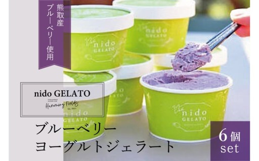 ブルーベリーヨーグルトジェラート「Nido GELATO」(6個)