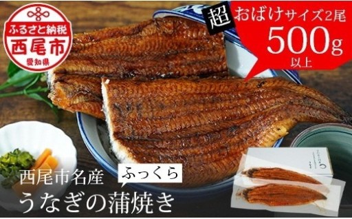 ✨土用の丑配送対応✨三河産うなぎ《超おばけサイズ》蒲焼き2尾　合計500g以上