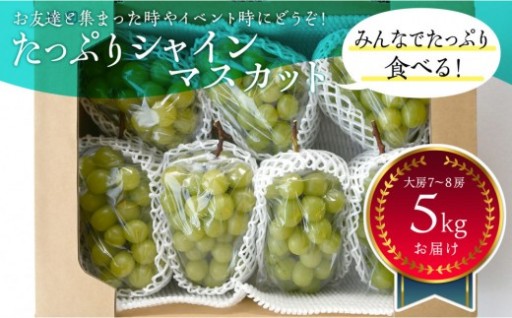 岡山県産 たっぷりシャインマスカット5Kg 大房7〜8房