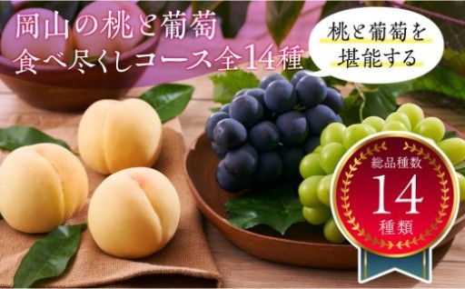 岡山の桃とぶどう 食べ尽くしコース全14種（14回お届け）