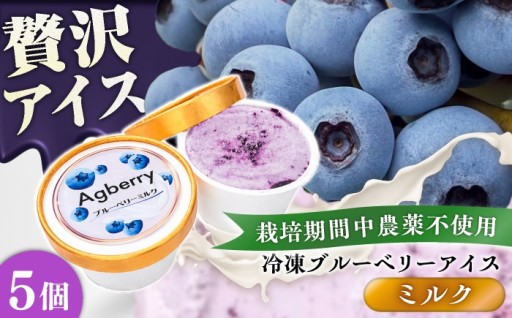 濃厚ブルーベリーが溢れ出す、手作りの贅沢アイス。