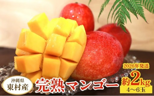 東村産完熟マンゴー　約2kg（4～6玉）2026年発送