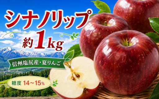 【2026年先行予約】信州塩尻産 シナノリップ 約1kg