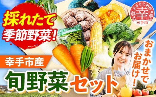 【🥕大人気のきあり農園の野菜がセットに！🥦】きあり農園の2026年度 幸手の旬野菜セット