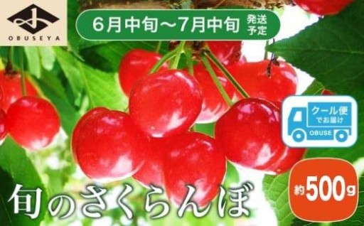 旬のさくらんぼ 約500g［小布施屋］