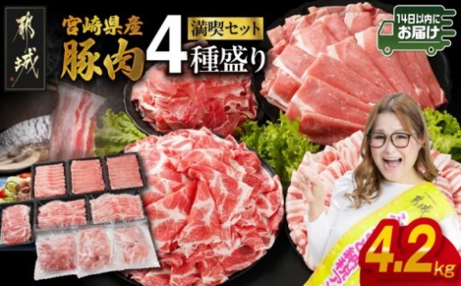 都城市より～宮崎県産豚肉たっぷり4.2kgセット≪みやこんじょ快速便≫