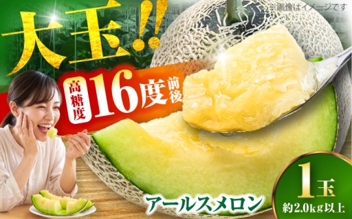 メロン 糖度16度前後 約2.0kg以上 1玉