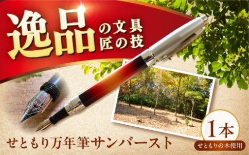 ＼ビンテージの味わい／ どんぐりの木の万年筆