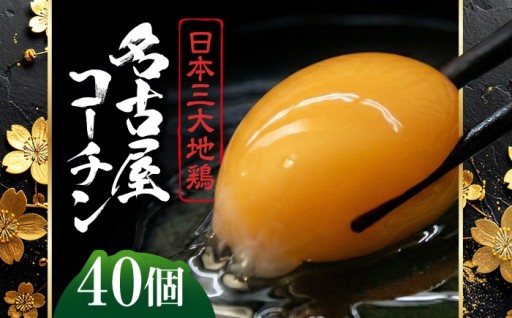 濃厚なコク！朝採れ新鮮名古屋コーチン卵