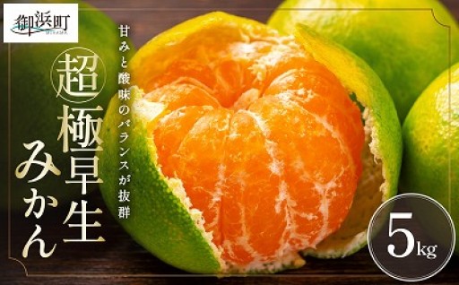 【完熟💚青切りみかん】秋の味覚ミカファームの超極早生みかん5キロ