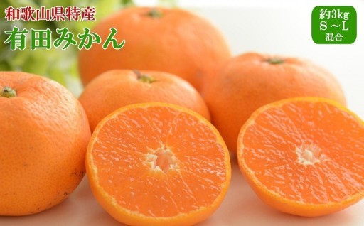 [秀品]和歌山有田みかん約3kg（S～Lサイズ混合）★2026年11月中旬頃より順次発送