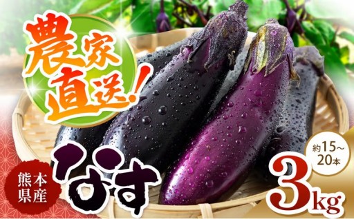 なす 約3kg（発送期間：5月頃～11月下旬頃まで）