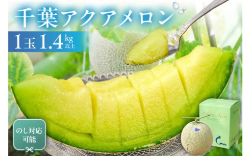 千葉アクアメロン(マスクメロン)1玉