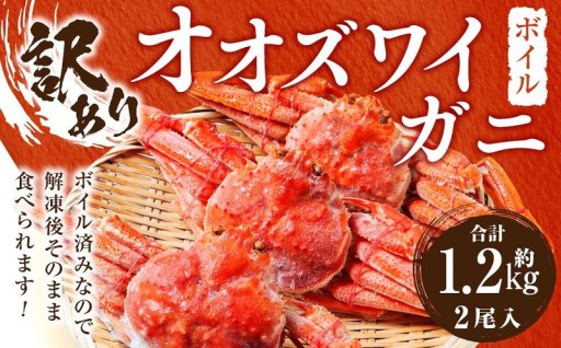 【訳あり】オオズワイガニボイル2尾（合計約1.2kg）｜たっぷり満足サイズ！