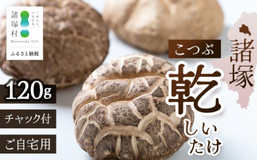 諸塚村産 乾しいたけ こつぶ 40g×3P