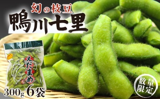 一年に十日限りの収穫！鴨川の“幻の枝豆”がついに登場