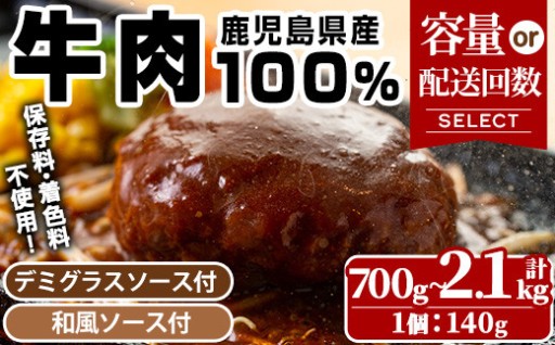 ＜選べる＞ハンバーグ専門店のふんわりジューシーハンバーグ・ソース2種付！(5個/10個/定期便)