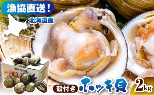 獲れたて直送！ホッキ貝【選べる容量：2kg/4kg】
