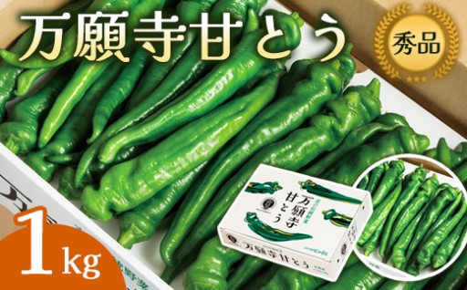 万願寺甘とう 化粧箱入 秀品 1kg✨💚