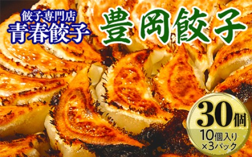 餃子専門店青春餃子　豊岡餃子10個入り×3パック