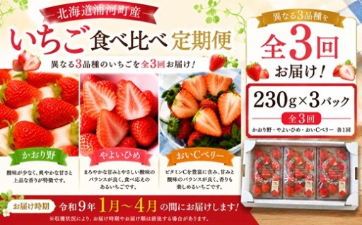 【新登場！】★先行受付開始★いちご食べ比べ定期便(全3回)