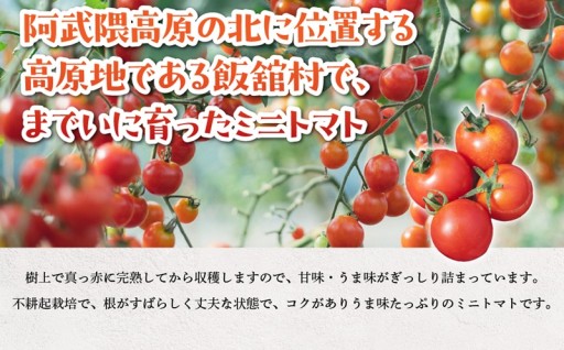【8月中旬以降発送】飯舘村のミニトマト