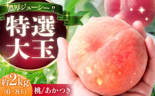 【贈り物にぜひ桃を！】恵那高原育ち 特選桃2kg
