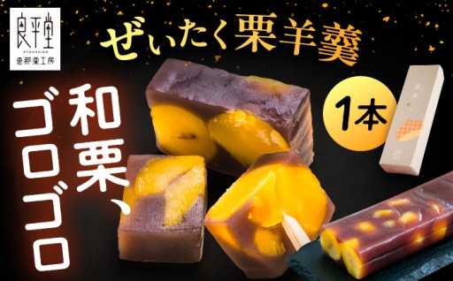 【お中元の贈り物に】栗ぎっしり！恵那の栗ようかん