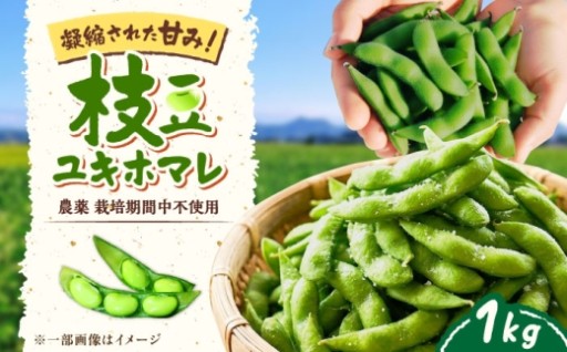 旬の味、バランス農法のユキホマレ枝豆