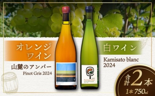 白ワイン Kamisato blanc 2024／オレンジワイン 山麓のアンバー Pinot Gris 2024