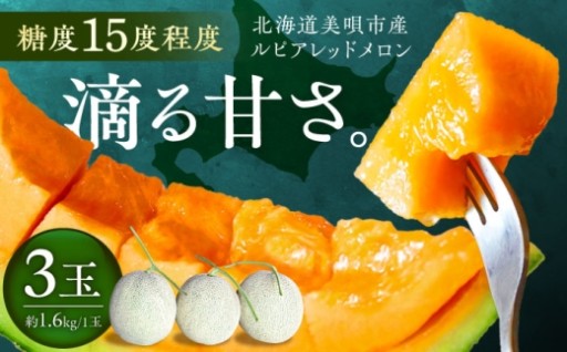 受付期間あと僅か！糖度15度目安の赤肉メロン3玉