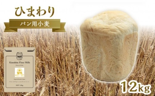 パン用小麦粉「ひまわり」12kg