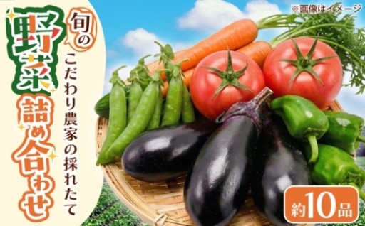 採れたて新鮮！こだわり農家の野菜セット