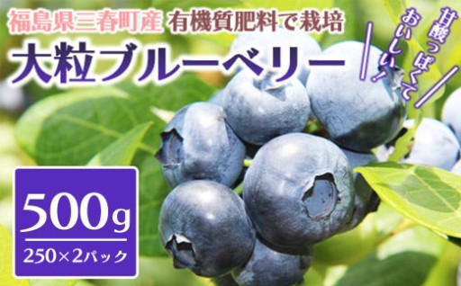 農家自慢！三春大粒ブルーベリー 計500g
