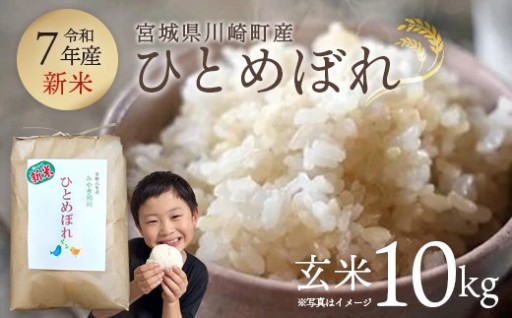 【令和7年産】川崎産 ひとめぼれ 10㎏（玄米）