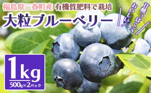 農家自慢！三春大粒ブルーベリー 計1kg