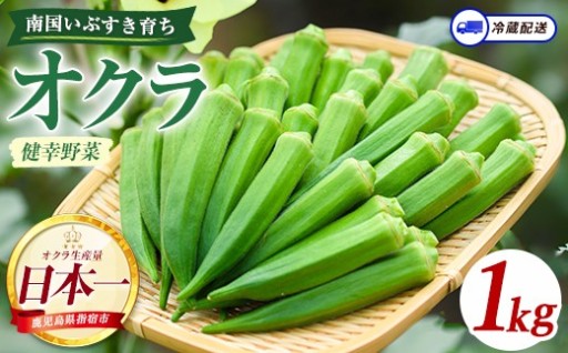 夏にうれしいネバネバ野菜🌿指宿の太陽を浴びた新鮮オクラ