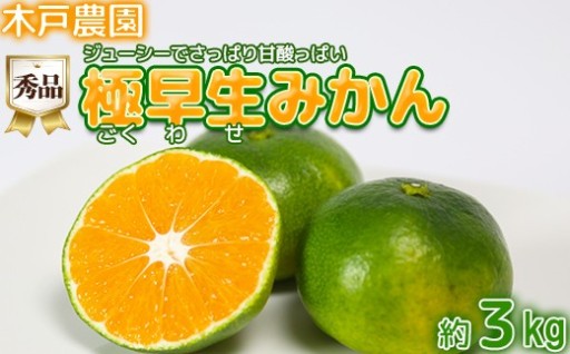 極早生みかん！木戸農園のおおいた早生 約3kg