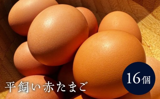 湯河原の自然が育てた絶品卵 🥚✨