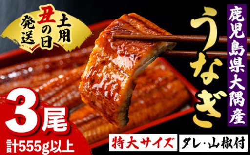 《土用の丑の日までに発送》特大うなぎ蒲焼(3尾)