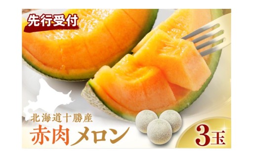 芳醇な香りと甘味🥰夏フルーツの女王👑赤肉メロン🍈