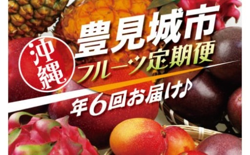 人気！沖縄フルーツ定期便(年6回)