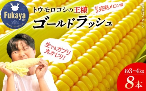 完熟メロン級の甘さ！ゴールドラッシュ 3～4kg