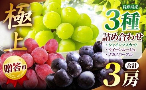 贈答用 信州産 葡萄【詰み合わせ】３房